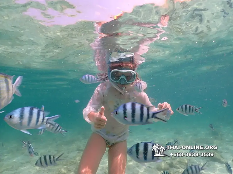 Underwater Odyssey snorkeling tour from Pattaya Thailand photo 18378