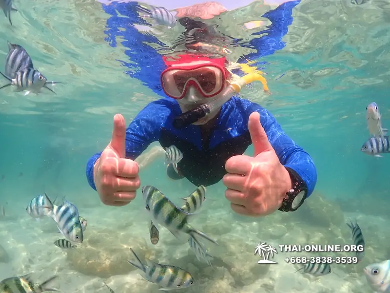 Underwater Odyssey snorkeling excursion Pattaya Thailand photo 14819