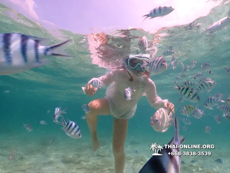 Underwater Odyssey snorkeling tour from Pattaya Thailand photo 18456