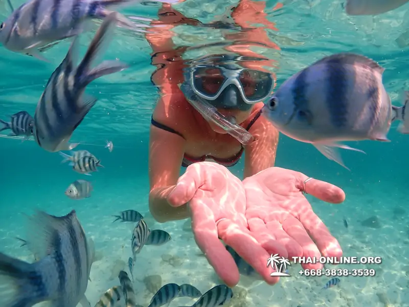 Underwater Odyssey snorkeling excursion Pattaya Thailand photo 14212