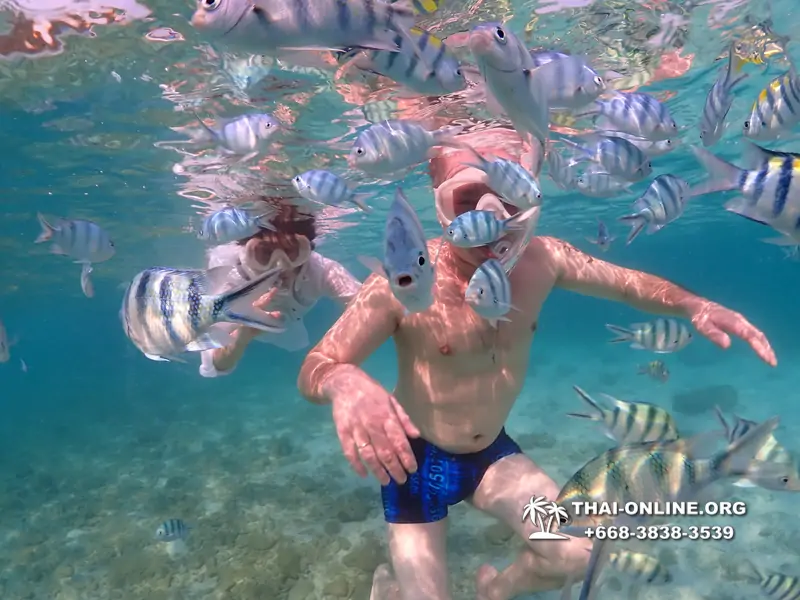 Underwater Odyssey snorkeling excursion Pattaya Thailand photo 11300