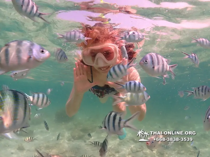 Underwater Odyssey snorkeling tour from Pattaya Thailand photo 18341