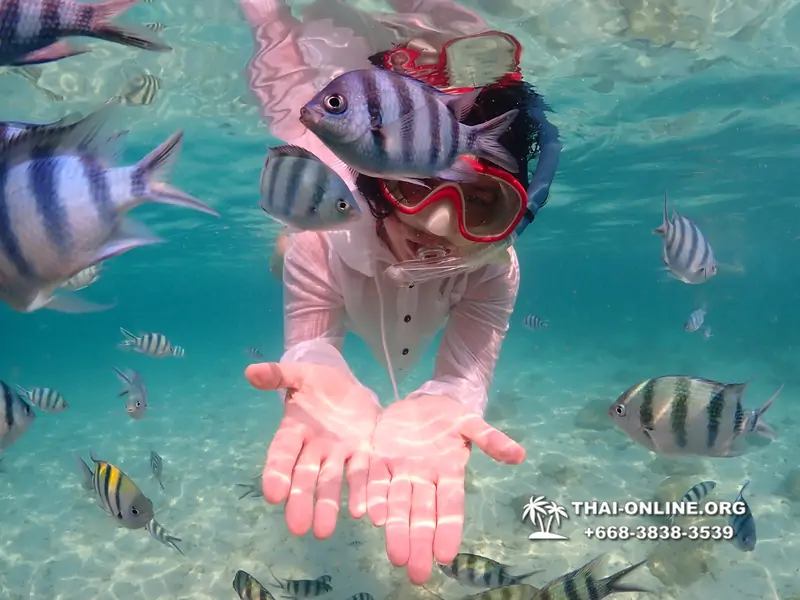 Underwater Odyssey snorkeling tour from Pattaya Thailand photo 14326