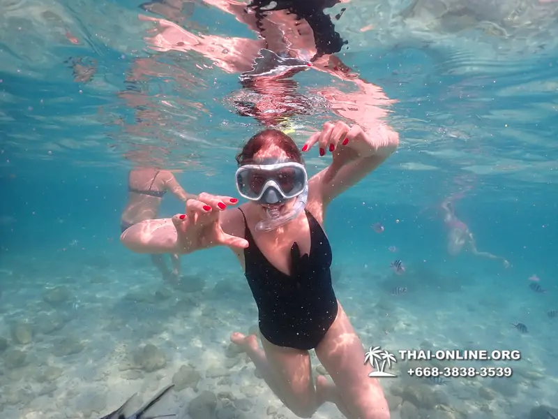 Underwater Odyssey snorkeling tour from Pattaya Thailand photo 14237