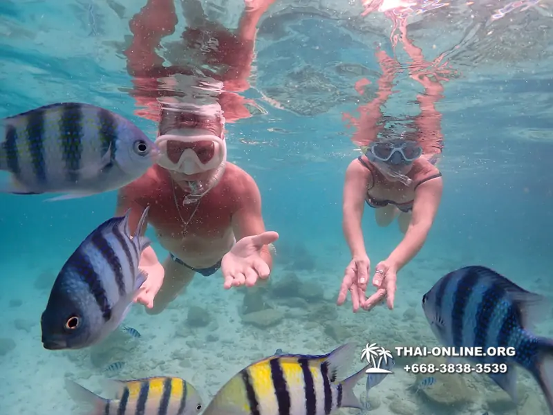 Underwater Odyssey snorkeling tour from Pattaya Thailand photo 14155