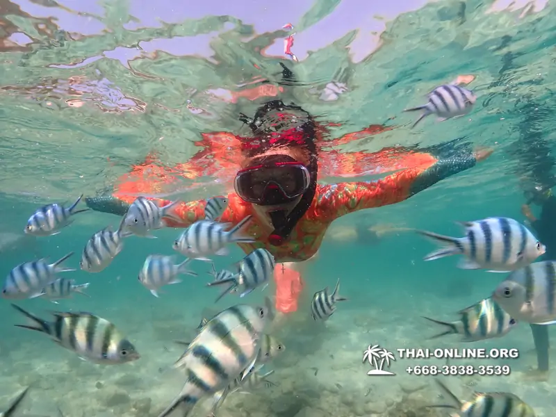 Underwater Odyssey snorkeling excursion Pattaya Thailand photo 14800