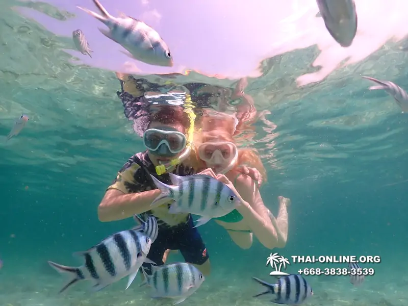 Underwater Odyssey snorkeling tour from Pattaya Thailand photo 18548