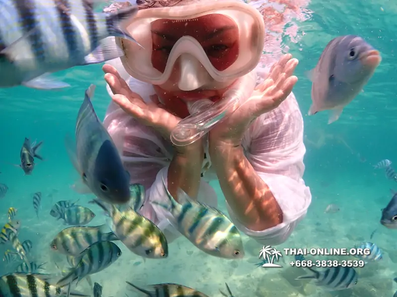 Underwater Odyssey snorkeling excursion Pattaya Thailand photo 14214