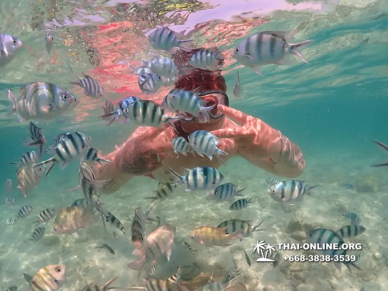 Underwater Odyssey snorkeling excursion Pattaya Thailand photo 14803