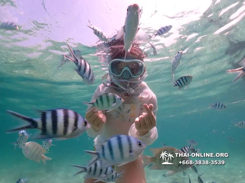 Underwater Odyssey snorkeling tour from Pattaya Thailand photo 18468