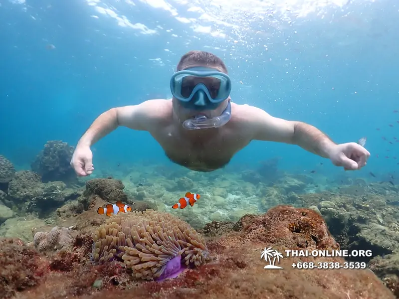 Underwater Odyssey snorkeling excursion Pattaya Thailand photo 11441