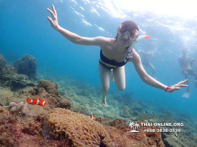 Underwater Odyssey snorkeling excursion Pattaya Thailand photo 11434
