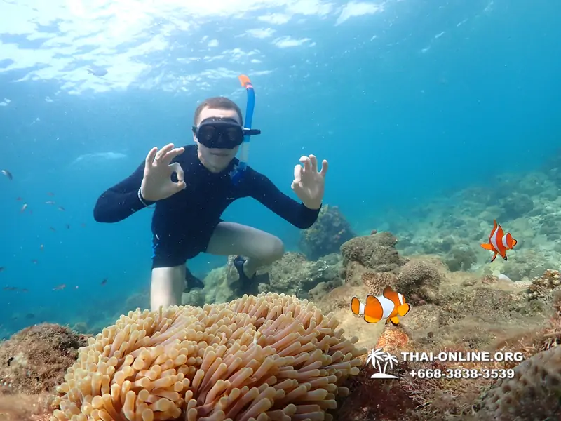 Underwater Odyssey snorkeling excursion Pattaya Thailand photo 11385