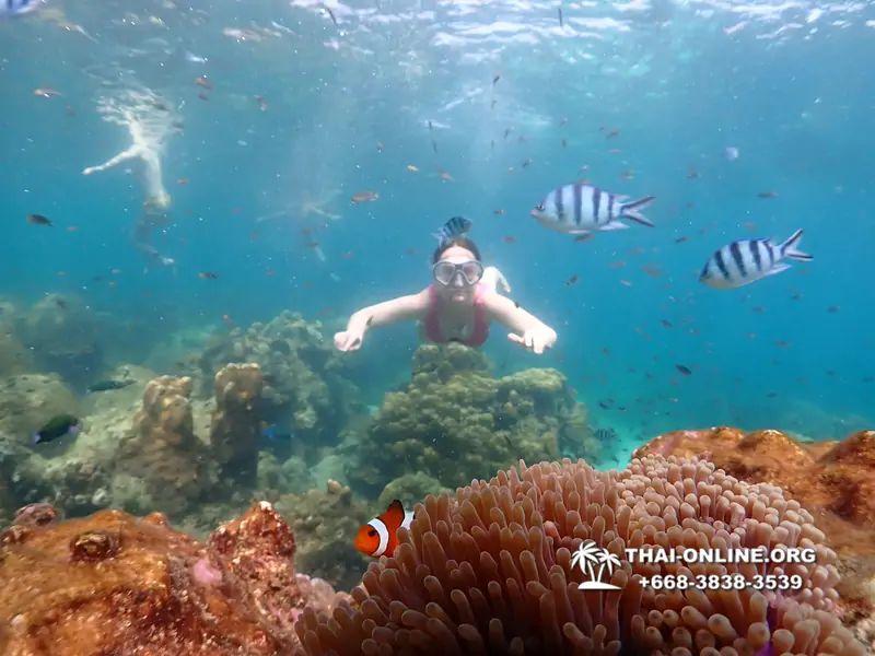 Underwater Odyssey snorkeling tour from Pattaya Thailand photo 14292