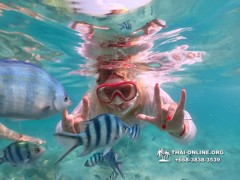 Underwater Odyssey snorkeling tour from Pattaya Thailand photo 14393