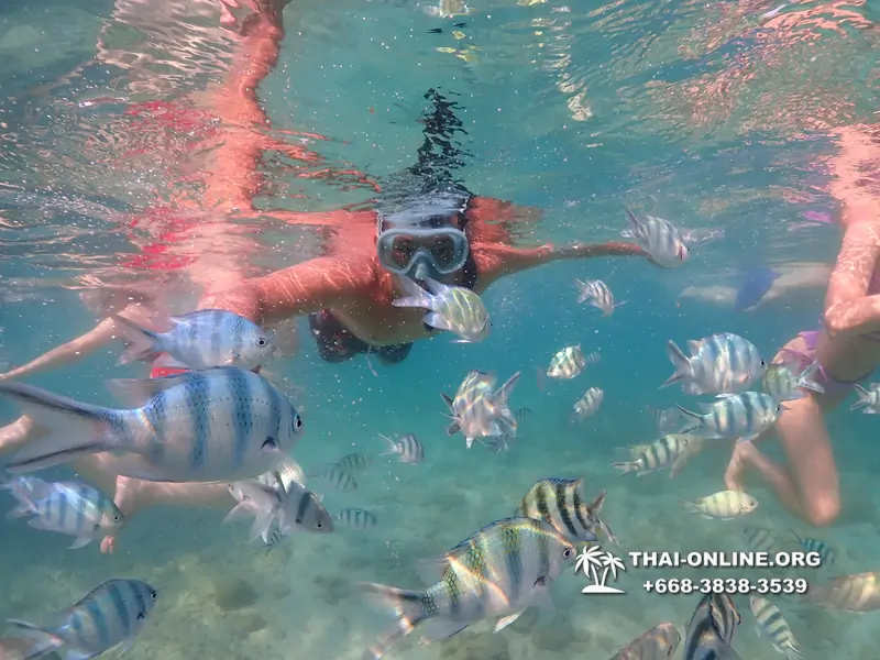 Underwater Odyssey snorkeling excursion Pattaya Thailand photo 11544