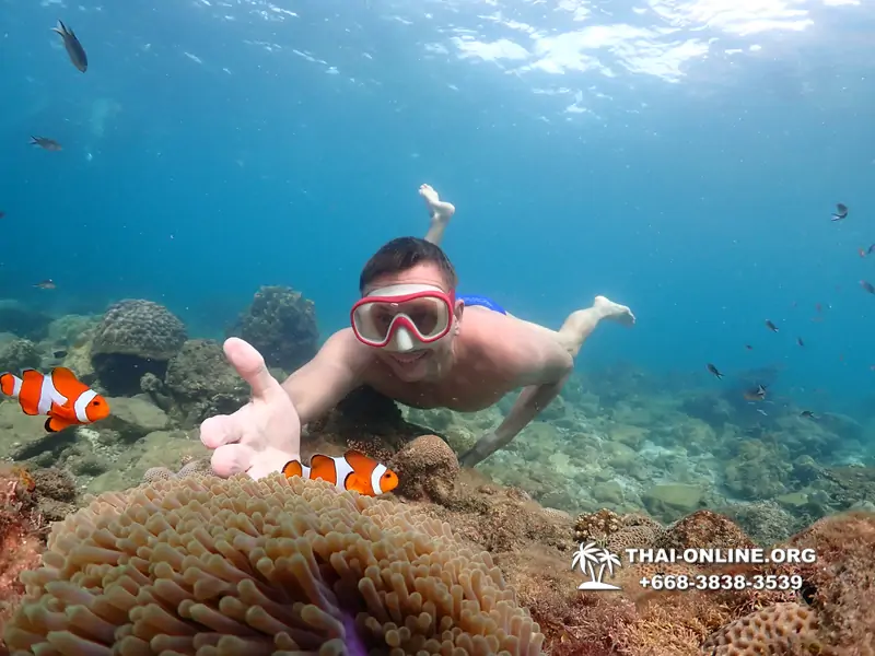 Underwater Odyssey snorkeling excursion Pattaya Thailand photo 11426