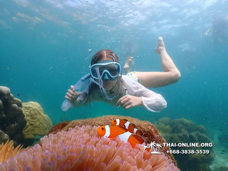 Underwater Odyssey snorkeling tour from Pattaya Thailand photo 18435