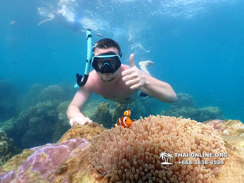 Underwater Odyssey snorkeling excursion Pattaya Thailand photo 11569