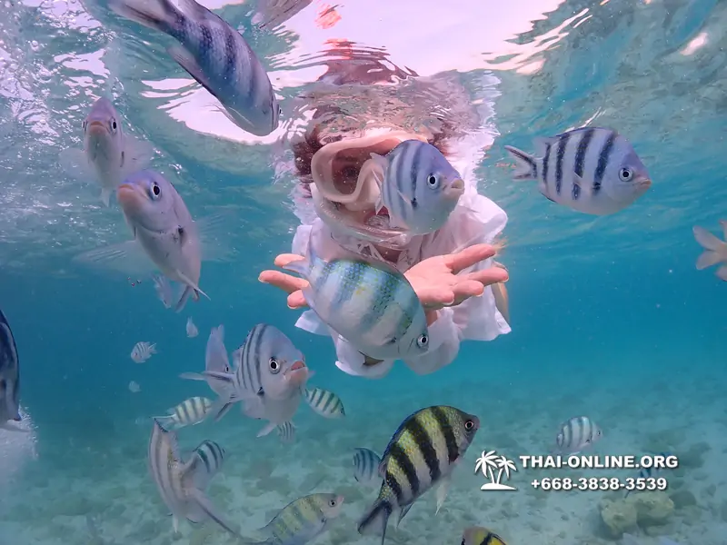 Underwater Odyssey snorkeling excursion Pattaya Thailand photo 11159