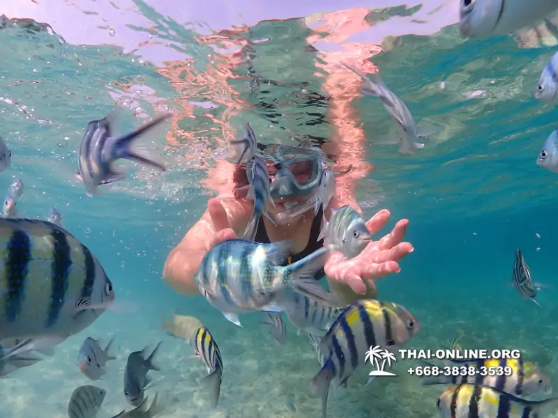 Underwater Odyssey snorkeling excursion Pattaya Thailand photo 11180