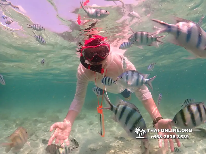 Underwater Odyssey snorkeling tour from Pattaya Thailand photo 18379