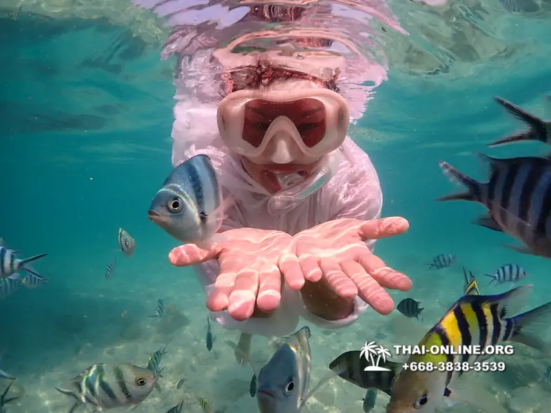 Underwater Odyssey snorkeling tour from Pattaya Thailand photo 14432