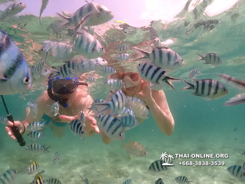 Underwater Odyssey snorkeling tour from Pattaya Thailand photo 18291