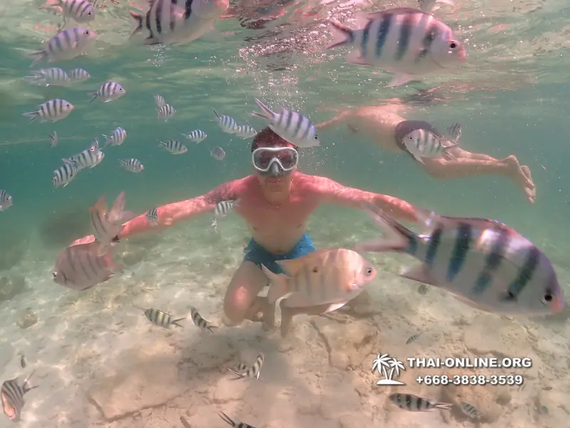 Underwater Odyssey snorkeling tour from Pattaya Thailand photo 18371