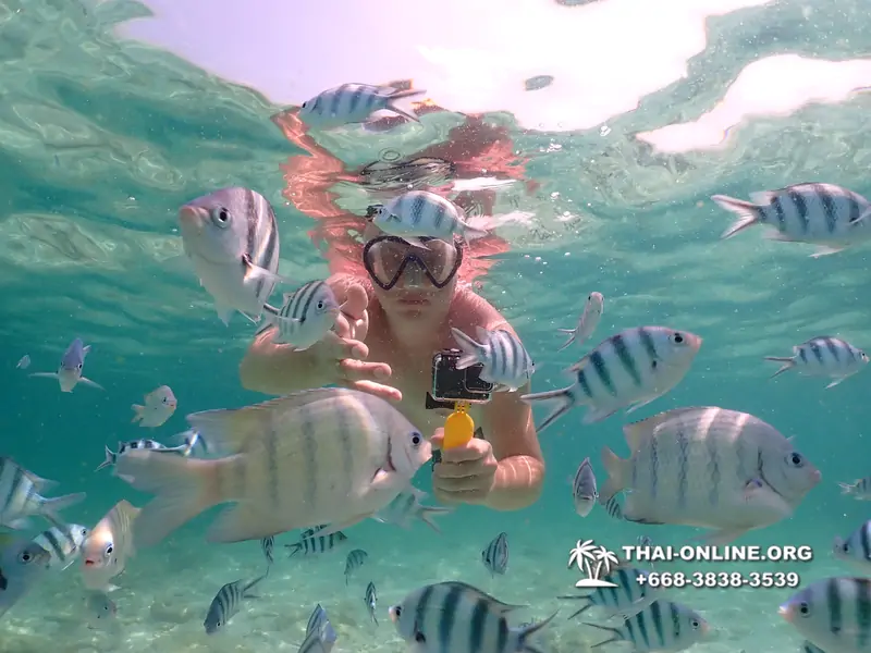 Underwater Odyssey snorkeling tour from Pattaya Thailand photo 18304