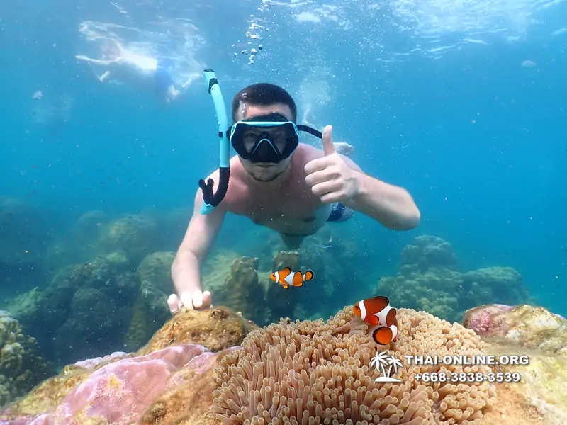 Underwater Odyssey snorkeling excursion Pattaya Thailand photo 11578