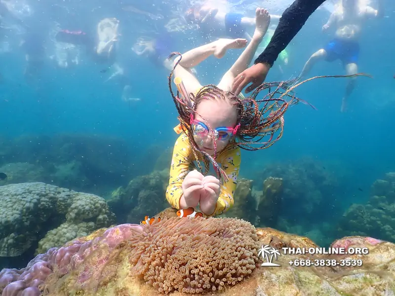 Underwater Odyssey snorkeling excursion Pattaya Thailand photo 11523