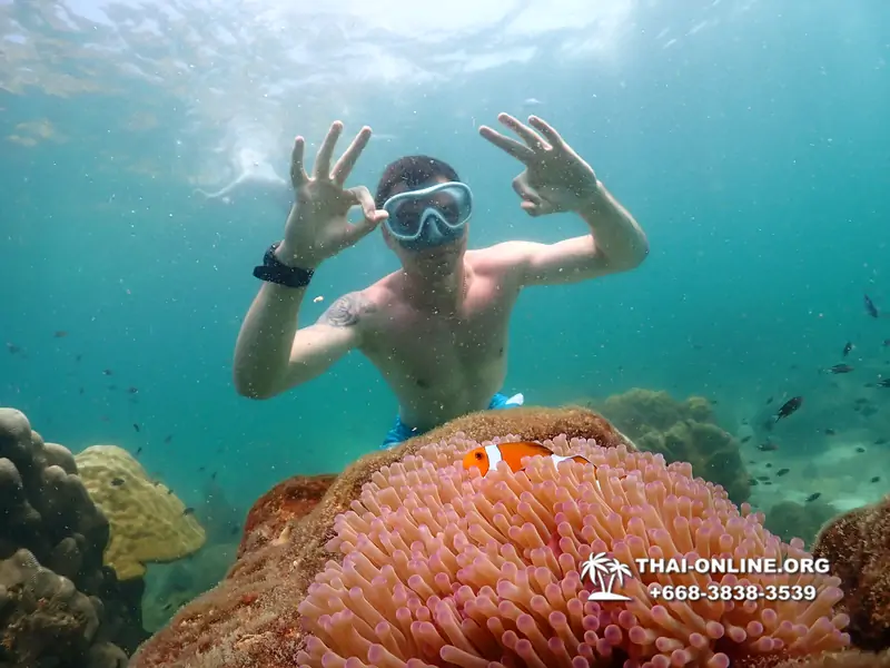 Underwater Odyssey snorkeling tour from Pattaya Thailand photo 18277