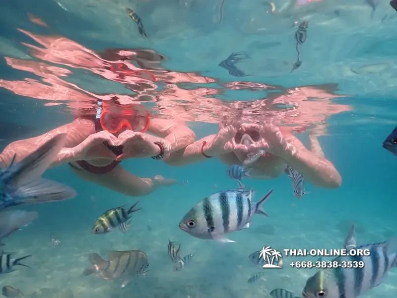 Underwater Odyssey snorkeling tour from Pattaya Thailand photo 14500