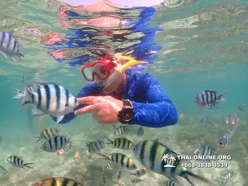 Underwater Odyssey snorkeling excursion Pattaya Thailand photo 14730