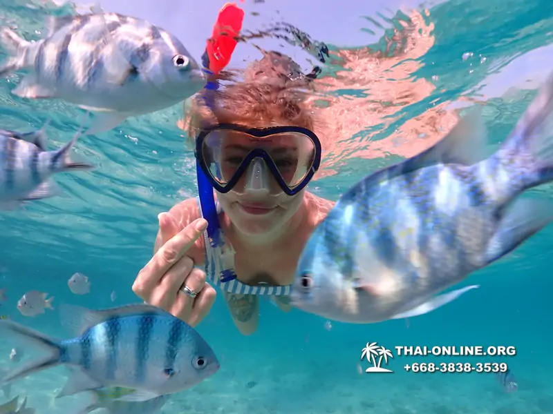 Underwater Odyssey snorkeling excursion Pattaya Thailand photo 11020