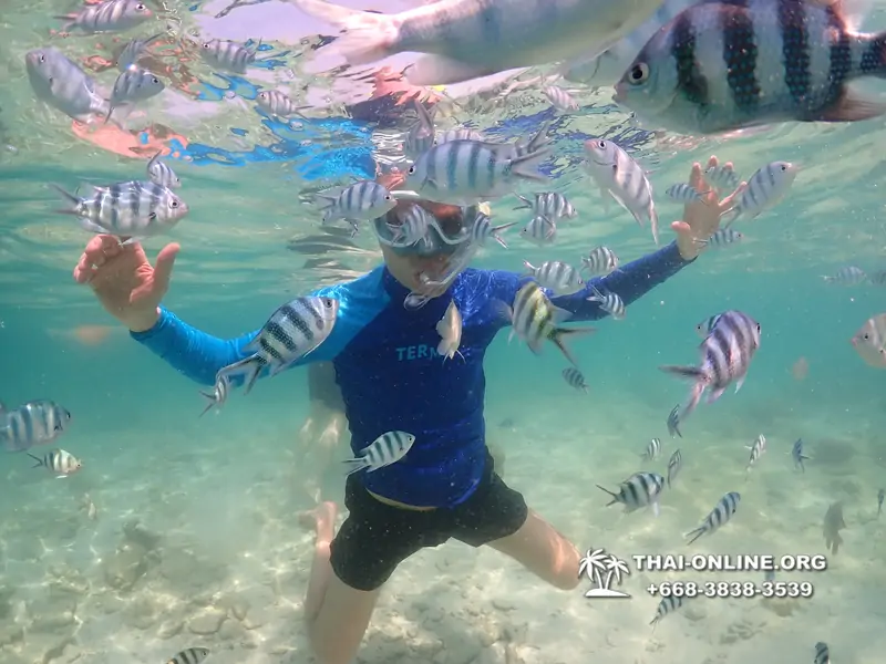 Underwater Odyssey snorkeling excursion Pattaya Thailand photo 14869