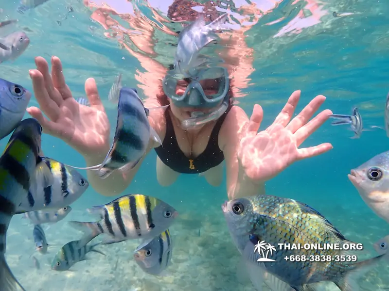 Underwater Odyssey snorkeling excursion Pattaya Thailand photo 11178
