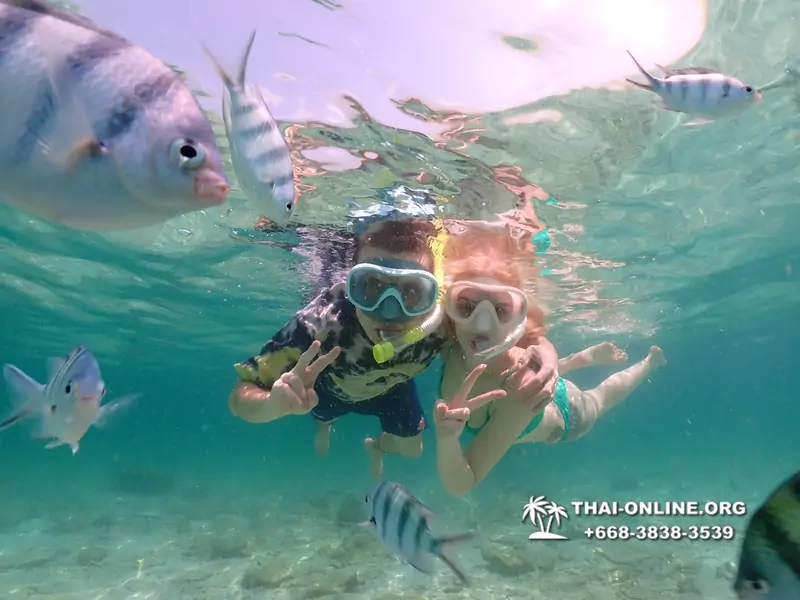 Underwater Odyssey snorkeling tour from Pattaya Thailand photo 18437