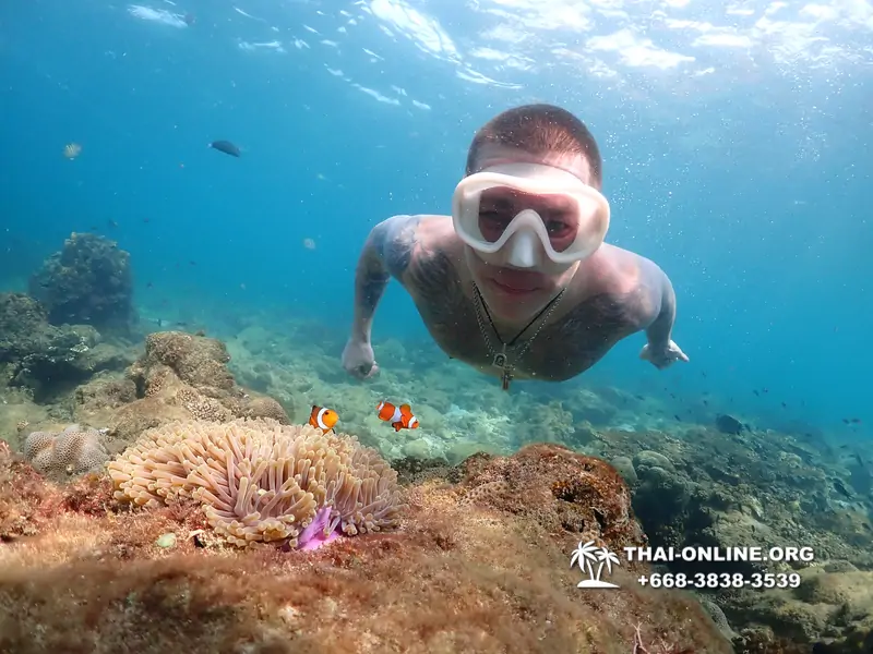 Underwater Odyssey snorkeling excursion Pattaya Thailand photo 11457