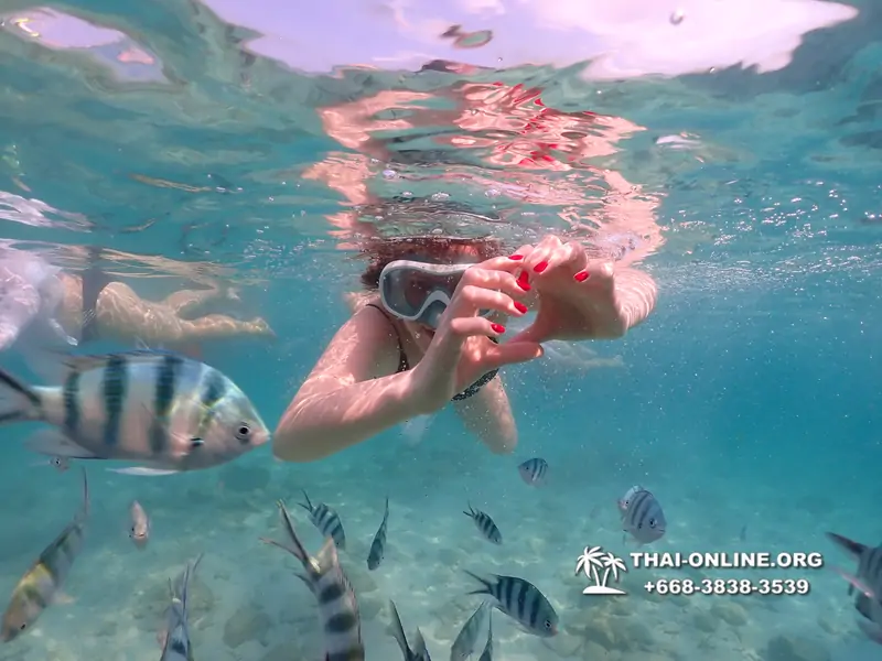 Underwater Odyssey snorkeling tour from Pattaya Thailand photo 14302
