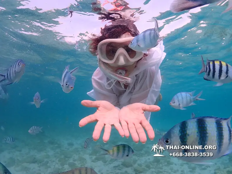 Underwater Odyssey snorkeling excursion Pattaya Thailand photo 11164