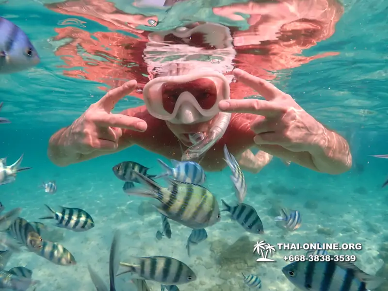 Underwater Odyssey snorkeling tour from Pattaya Thailand photo 14170