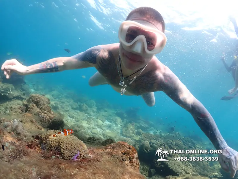 Underwater Odyssey snorkeling excursion Pattaya Thailand photo 11459