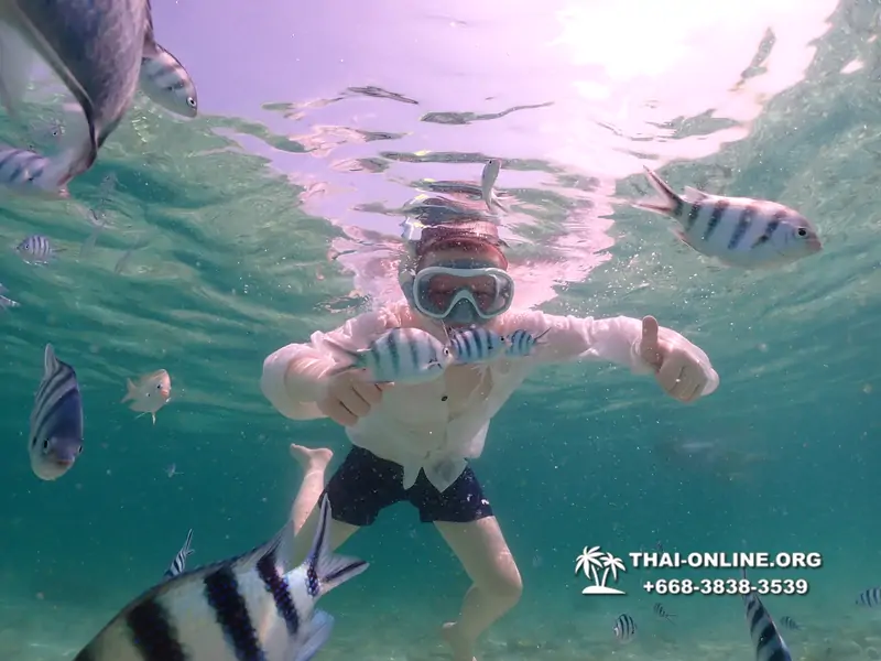 Underwater Odyssey snorkeling tour from Pattaya Thailand photo 18502