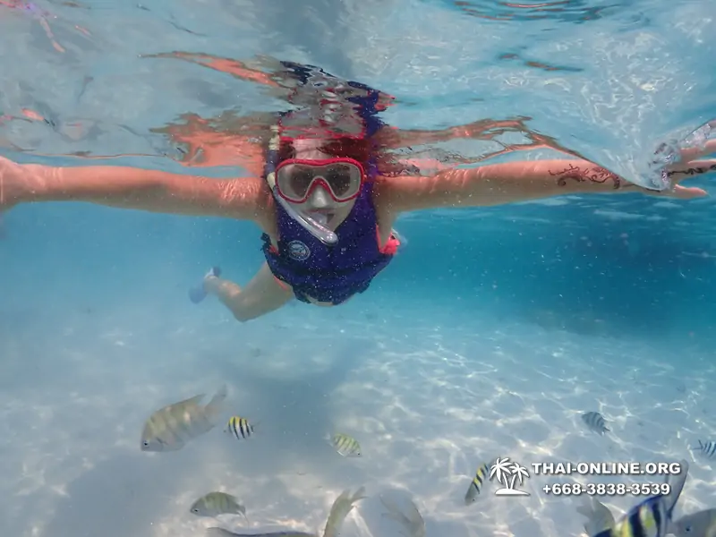 Underwater Odyssey snorkeling excursion in Pattaya Thailand photo 1003