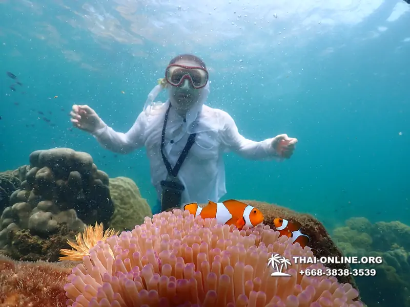 Underwater Odyssey snorkeling tour from Pattaya Thailand photo 18287