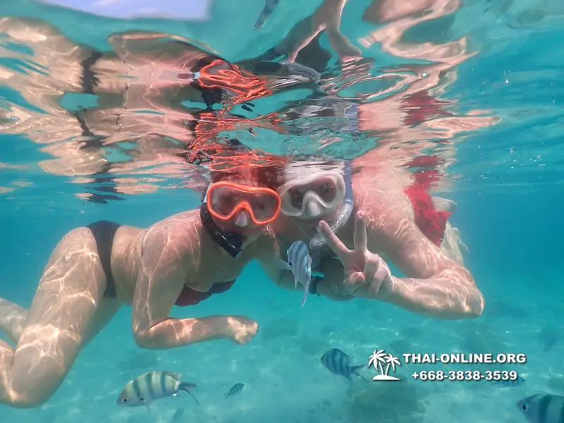 Underwater Odyssey snorkeling tour from Pattaya Thailand photo 14165