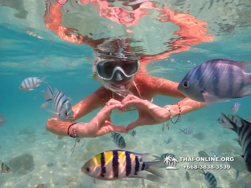 Underwater Odyssey snorkeling tour from Pattaya Thailand photo 14317