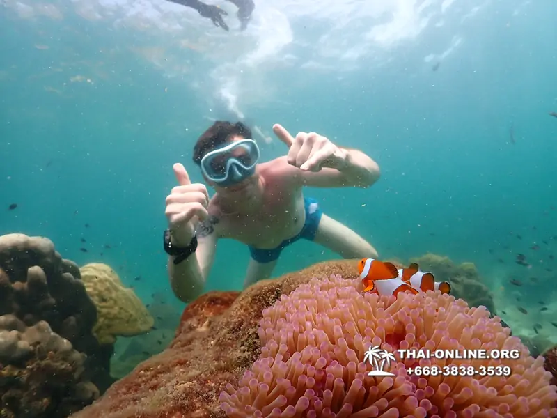 Underwater Odyssey snorkeling tour from Pattaya Thailand photo 18406